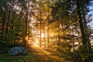 Gewinnerbild Oktober | © Susanne Sochor Gewinnerbild Oktober | © Susanne Sochor