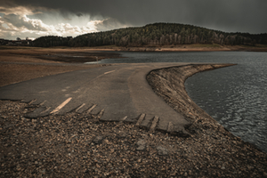Gewinnerbild November | © Beate Kidd Gewinnerbild November | © Beate Kidd