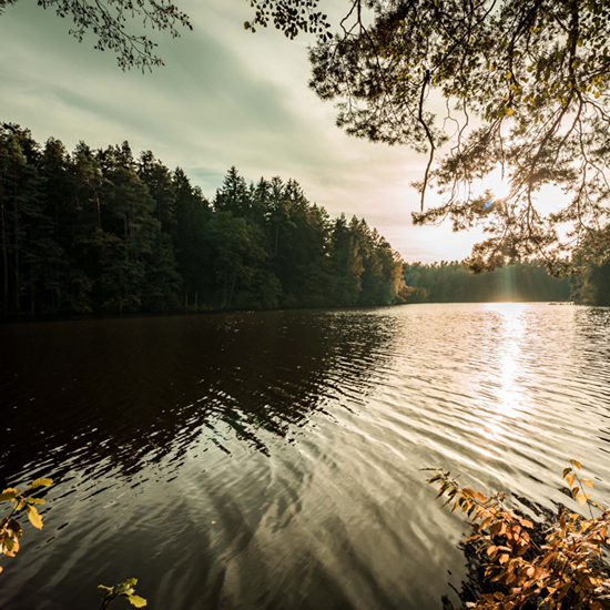 Bod Herbst 2024 Thoku 56 1