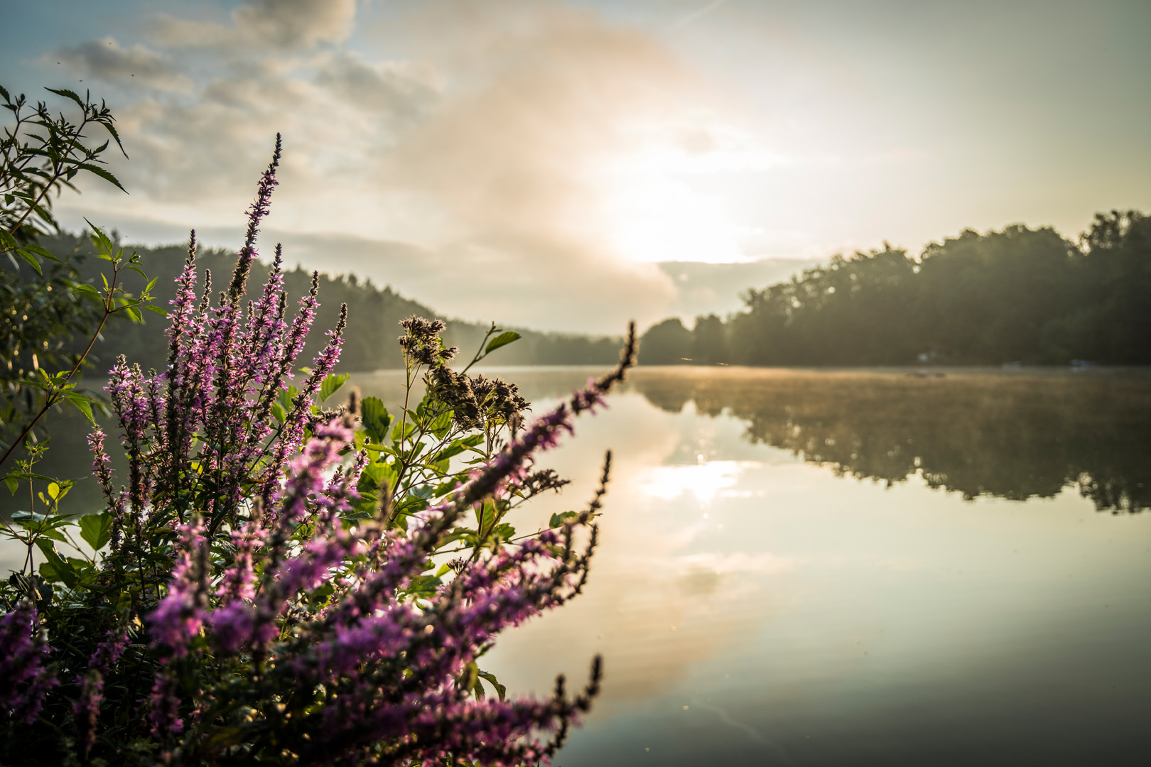 Natur im Oberpfälzer Seenland | © Thomas Kujat