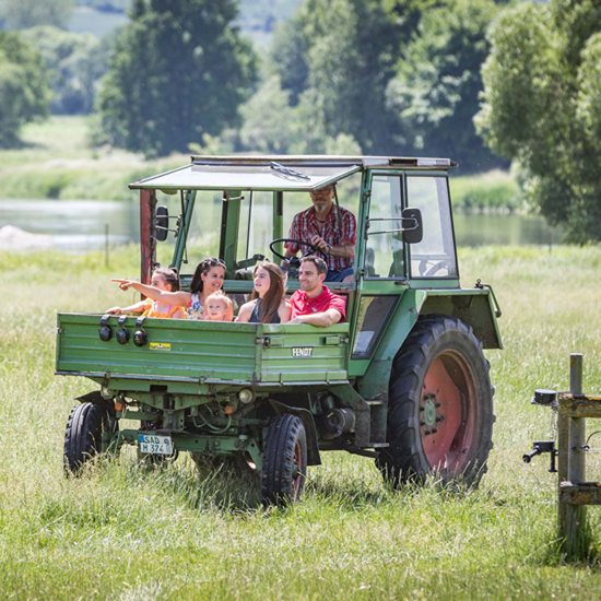 Dirnbergerhof Tow Thoku 213