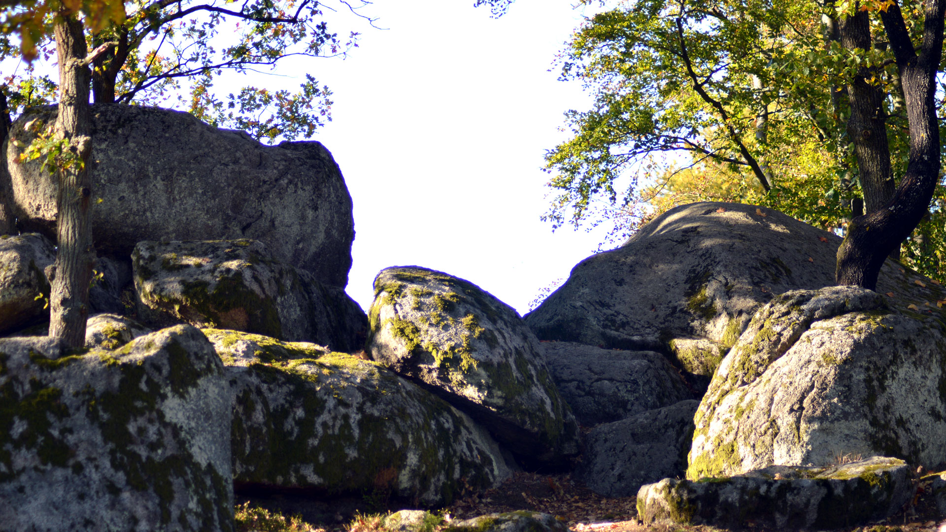 Druidenstein bei Kröblitz | Zweckverband Oberpfälzer Seenland Druidenstein bei Kröblitz | Zweckverband Oberpfälzer Seenland