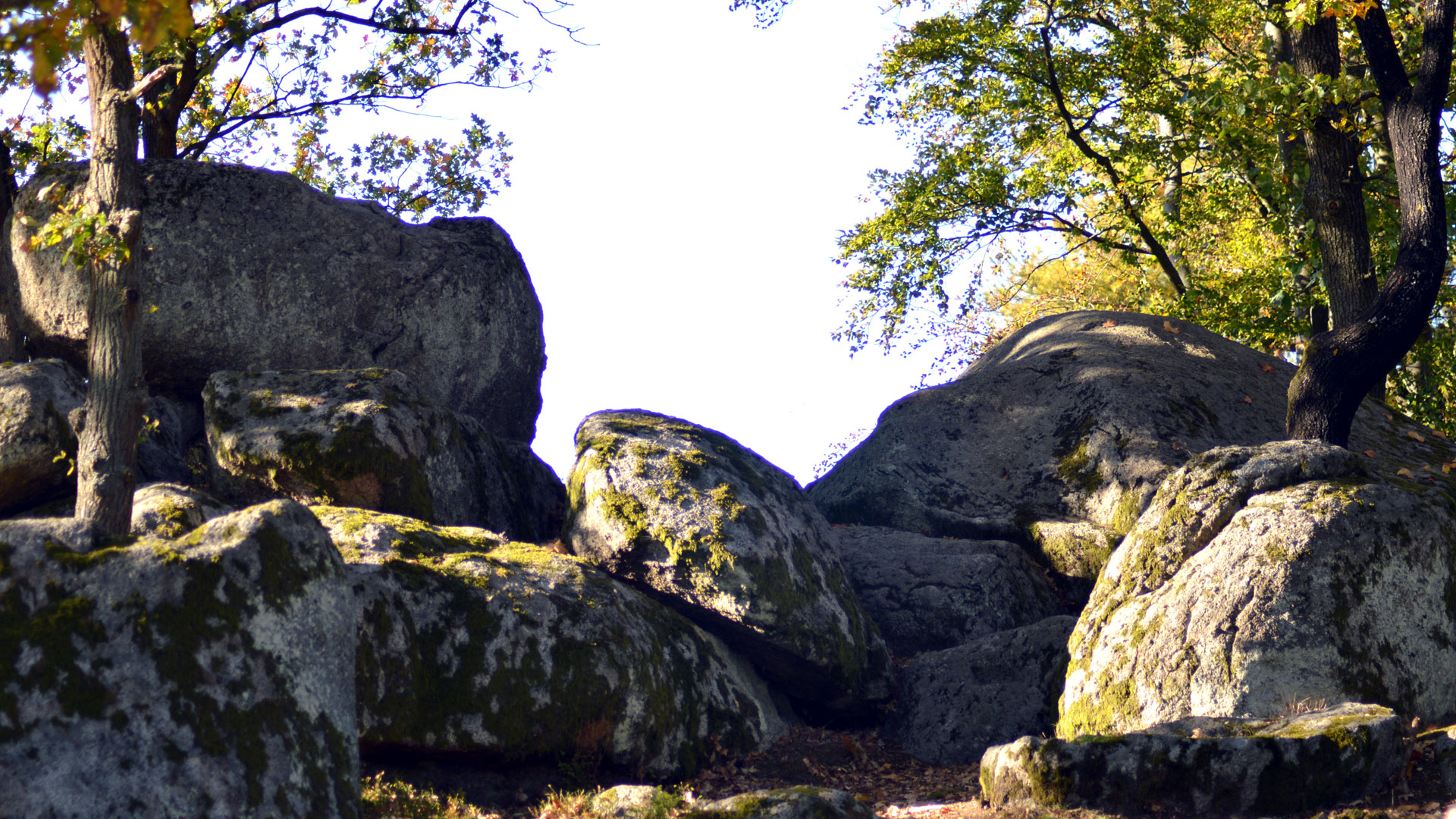 Druidenstein bei Kröblitz | Zweckverband Oberpfälzer Seenland