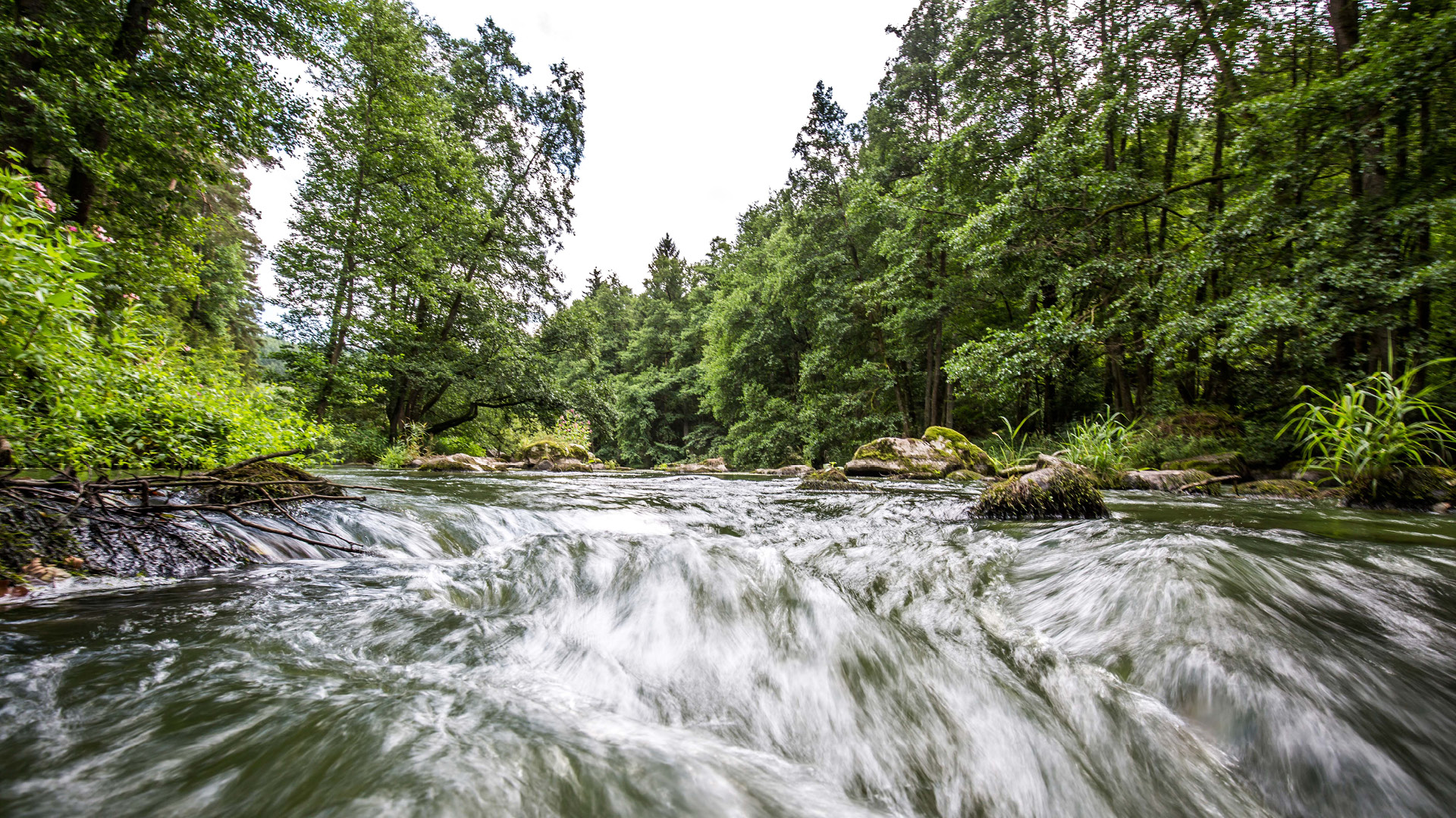 Flüsse im Oberpfälzer Seenland | © Thomas Kujat