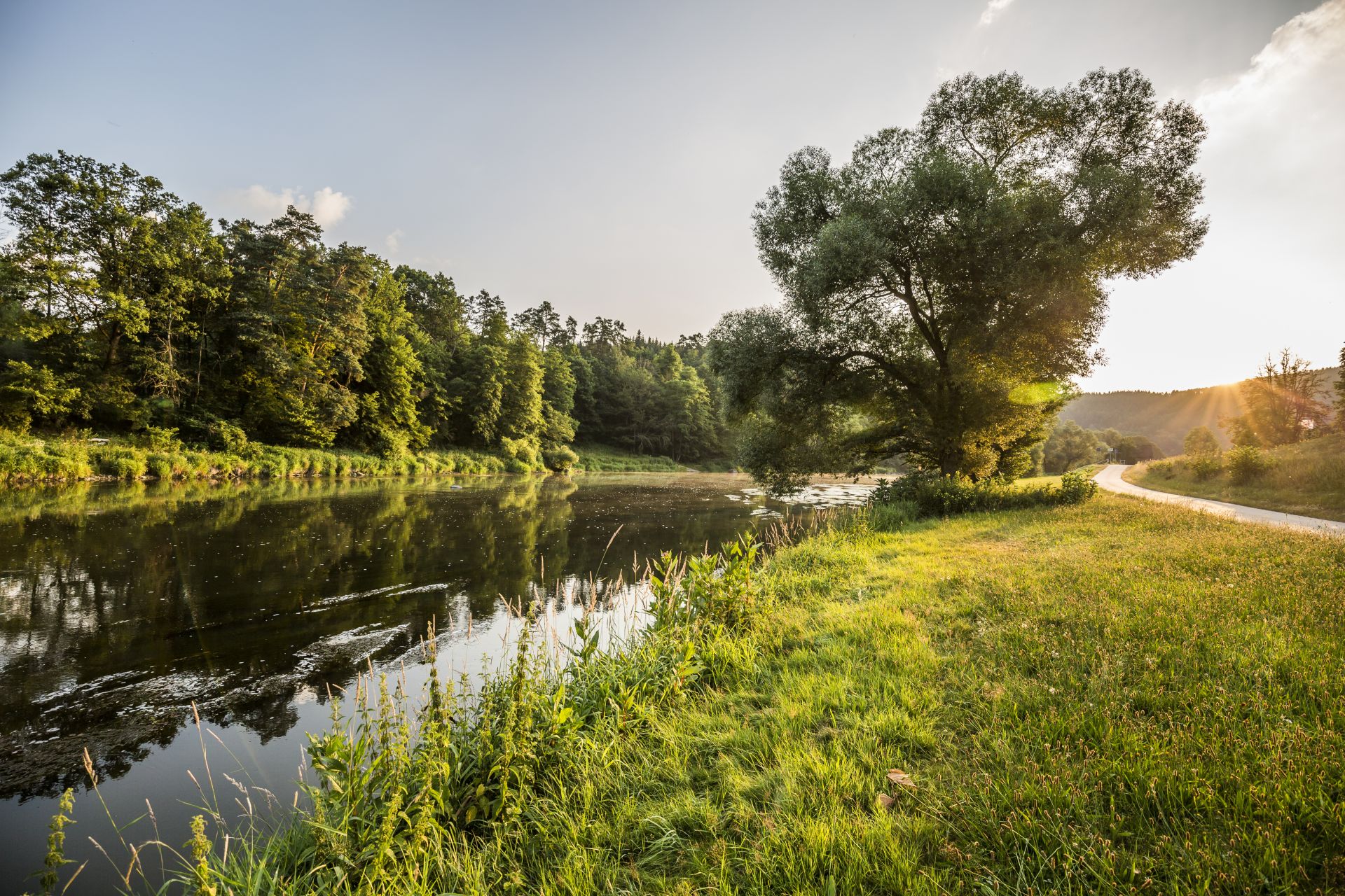 Landschaft Oberpfälzer Seenland | © Thomas Kujat