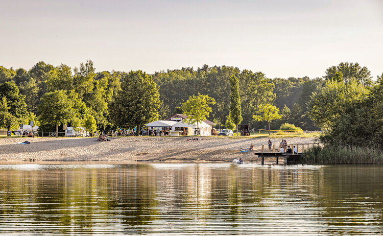 Forsterweiher Swf Thoku 15