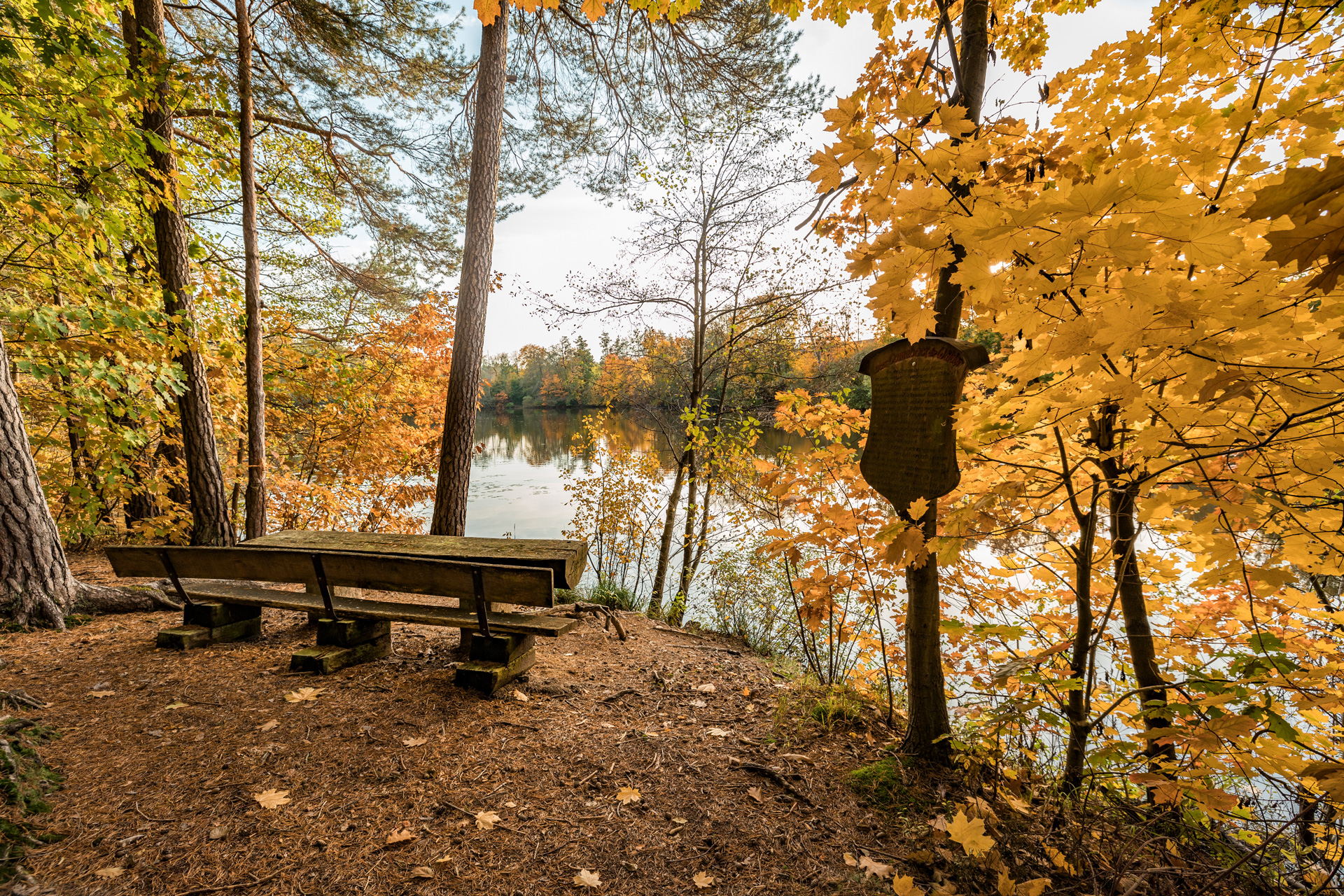 Das Landschaftsschutzgebiet Warbruckerweiher | &copy; Thomas Kujat