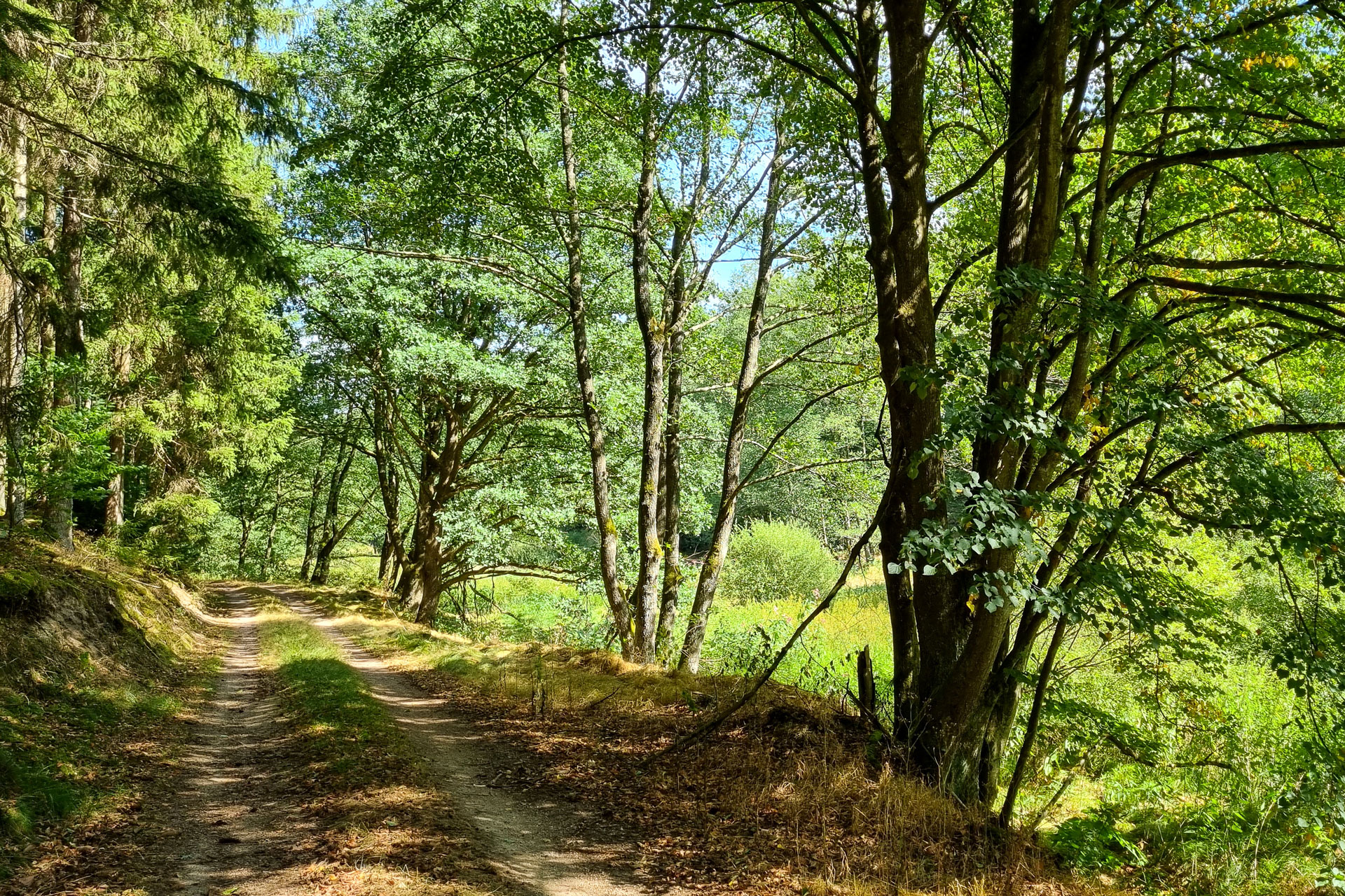 Wanderweg im Frankenbachtal | © Ingrid Schindler Wanderweg im Frankenbachtal | © Ingrid Schindler