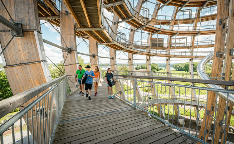 Holzkugel Sas Thoku 6