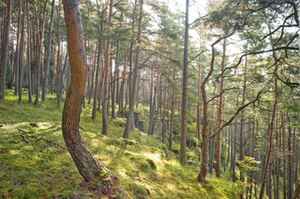 Oberpfälzer Seenweg | © Clemens Zahn 