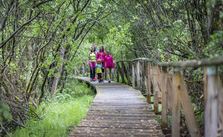 Kulzer Moos Thoku 45 1