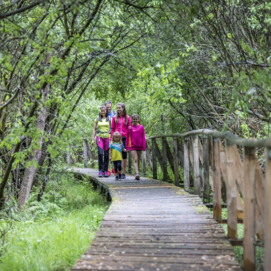 Kulzer Moos Thoku 45