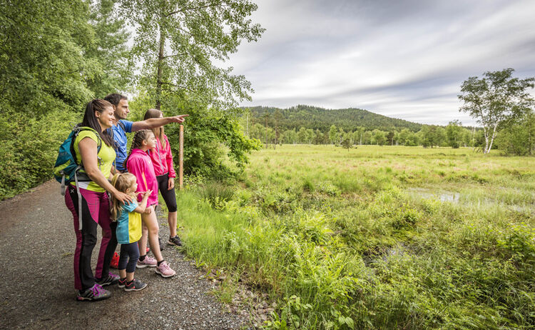 Kulzer Moos Thoku 67