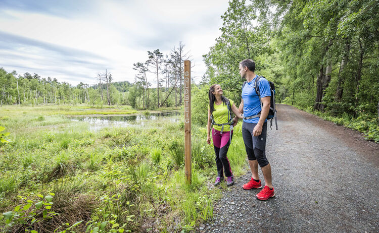 Kulzer Moos Thoku 72