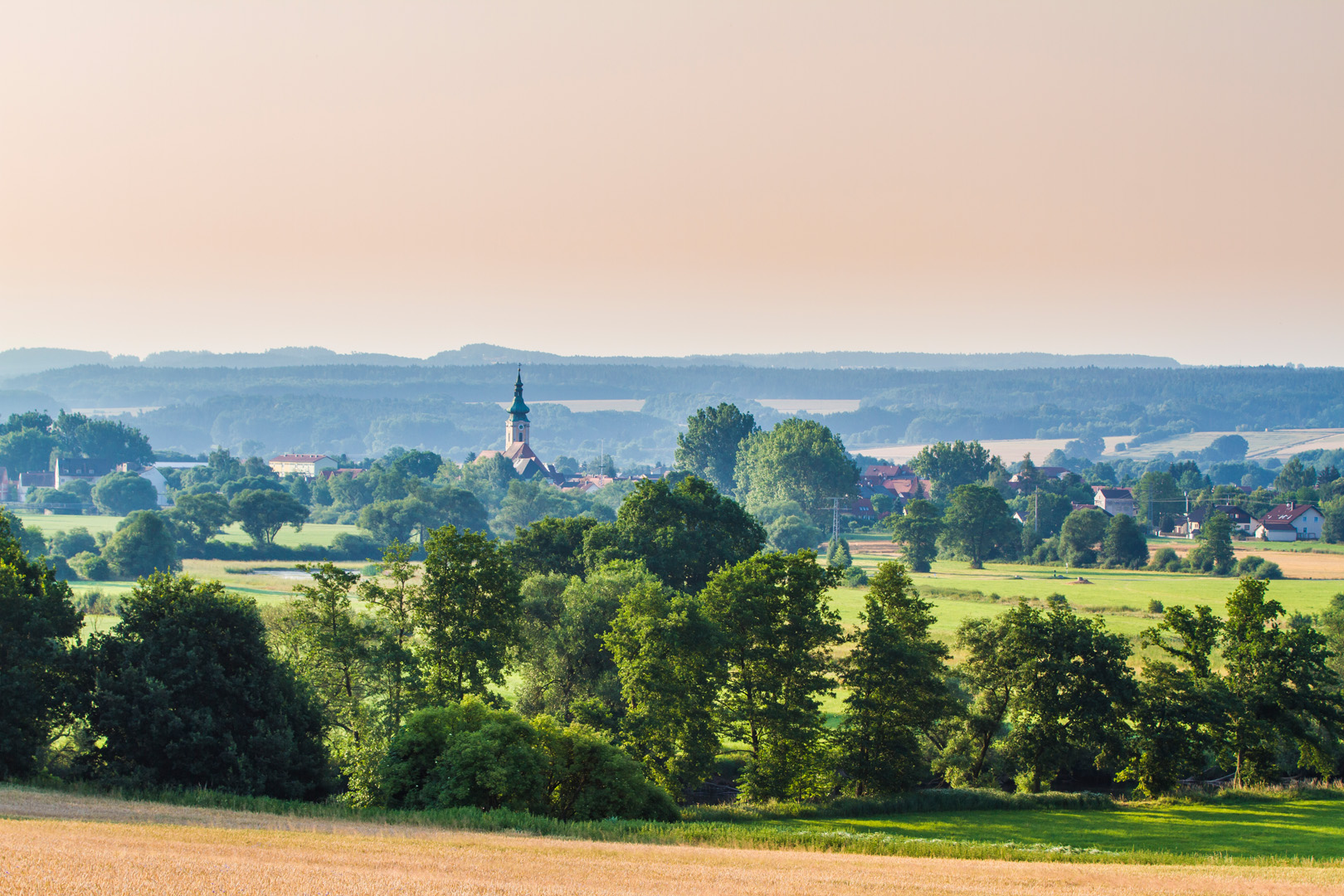 Natur im Oberpfälzer Seenland | © Thomas Kujat Natur im Oberpfälzer Seenland | © Thomas Kujat