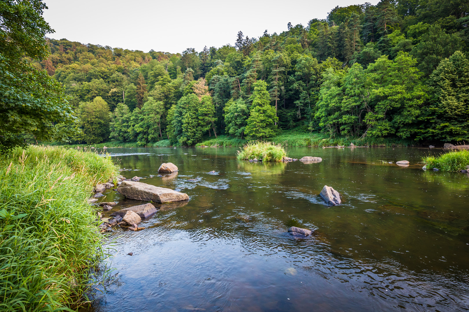 Natur im Oberpfälzer Seenland | © Thomas Kujat