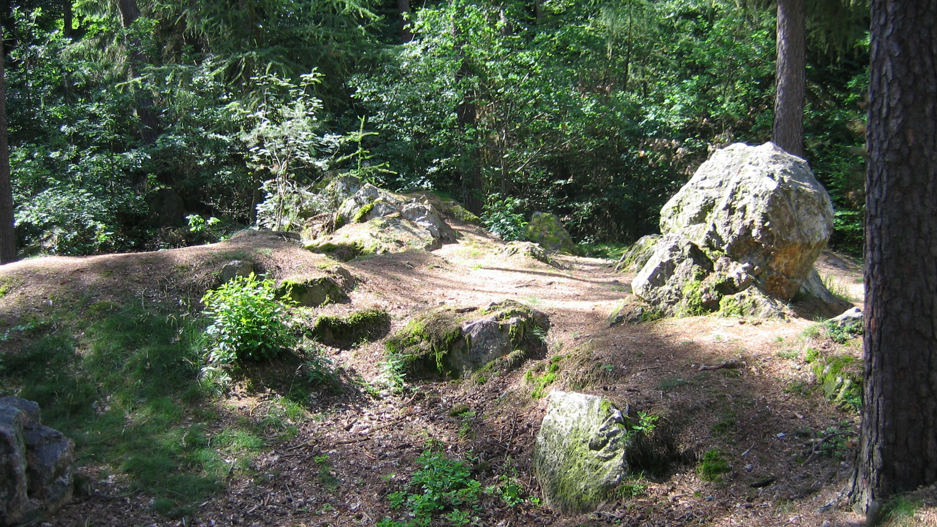 Pfahl am Hirschberg | © Markus Kurz