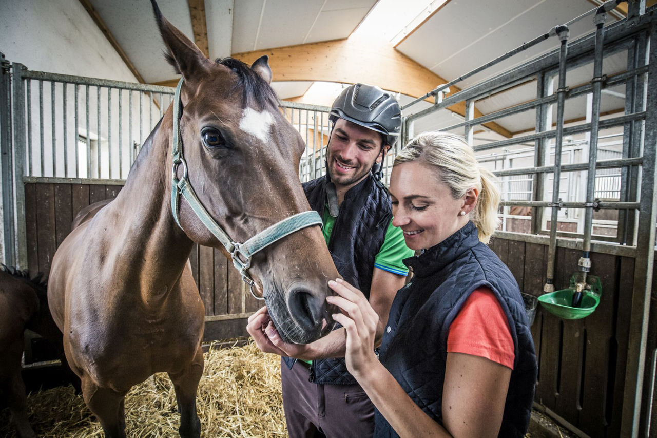 Reiten im Oberpfälzer Seenland | © Elke Schneeberger / Reiter- und Freizeitpension Kollerhof Reiten im Oberpfälzer Seenland | © Elke Schneeberger / Reiter- und Freizeitpension Kollerhof
