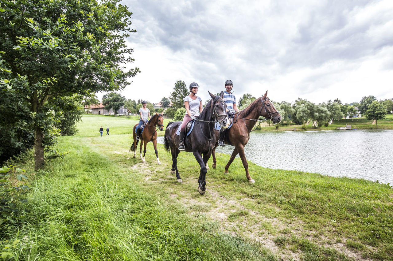  Reiten im Oberpfälzer Seenland | © Thomas Kujat Reiten im Oberpfälzer Seenland | © Thomas Kujat