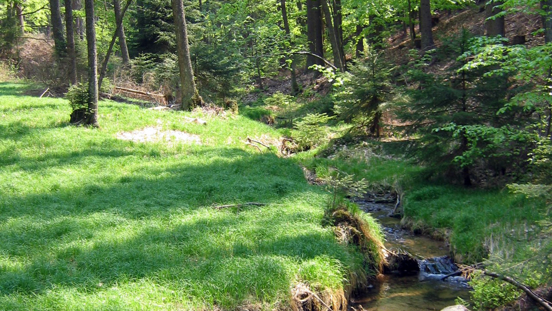 Neunburg vorm Wald Wanderwochen 2023
