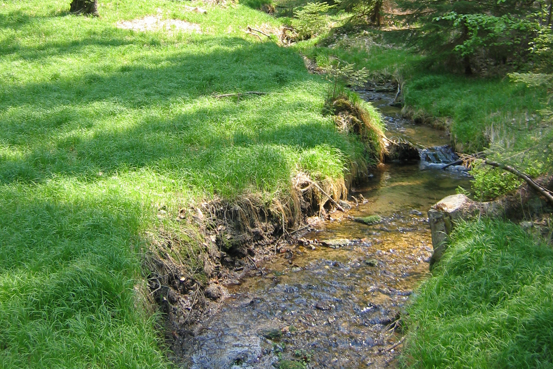 Taubenwiesbachtal | © Markus Kurz