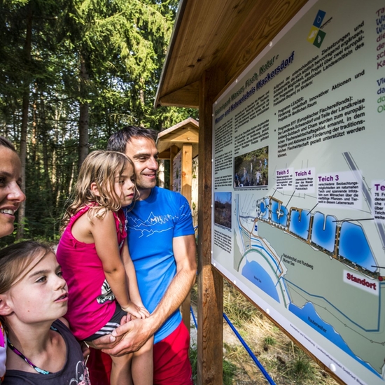 Wackersdorf Erlebnispark Wasser Fisch Natur 1 Foto Thomas Kujat