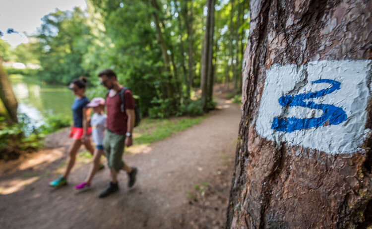 Wandern Hammersee Oberpfaelzerseenland Thomaskujat 2017 24