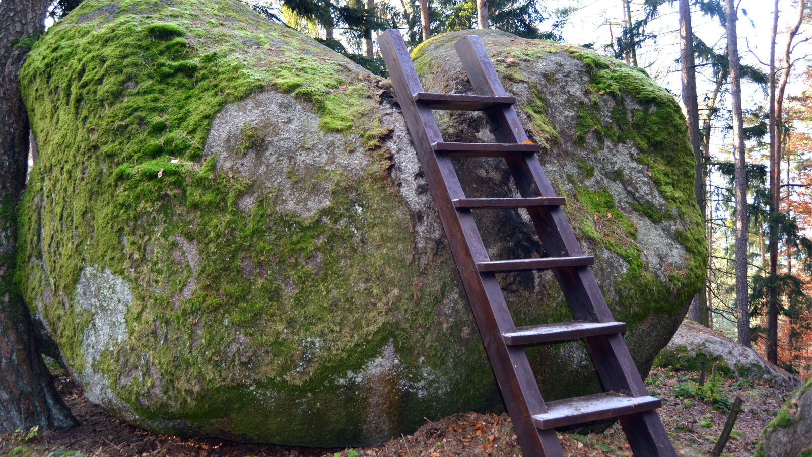 Naturdenkmal Wasserstein | © Oberpfälzer Wald / Georg Plank