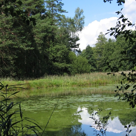 Weichselbrunner Weihergebiet Cropped