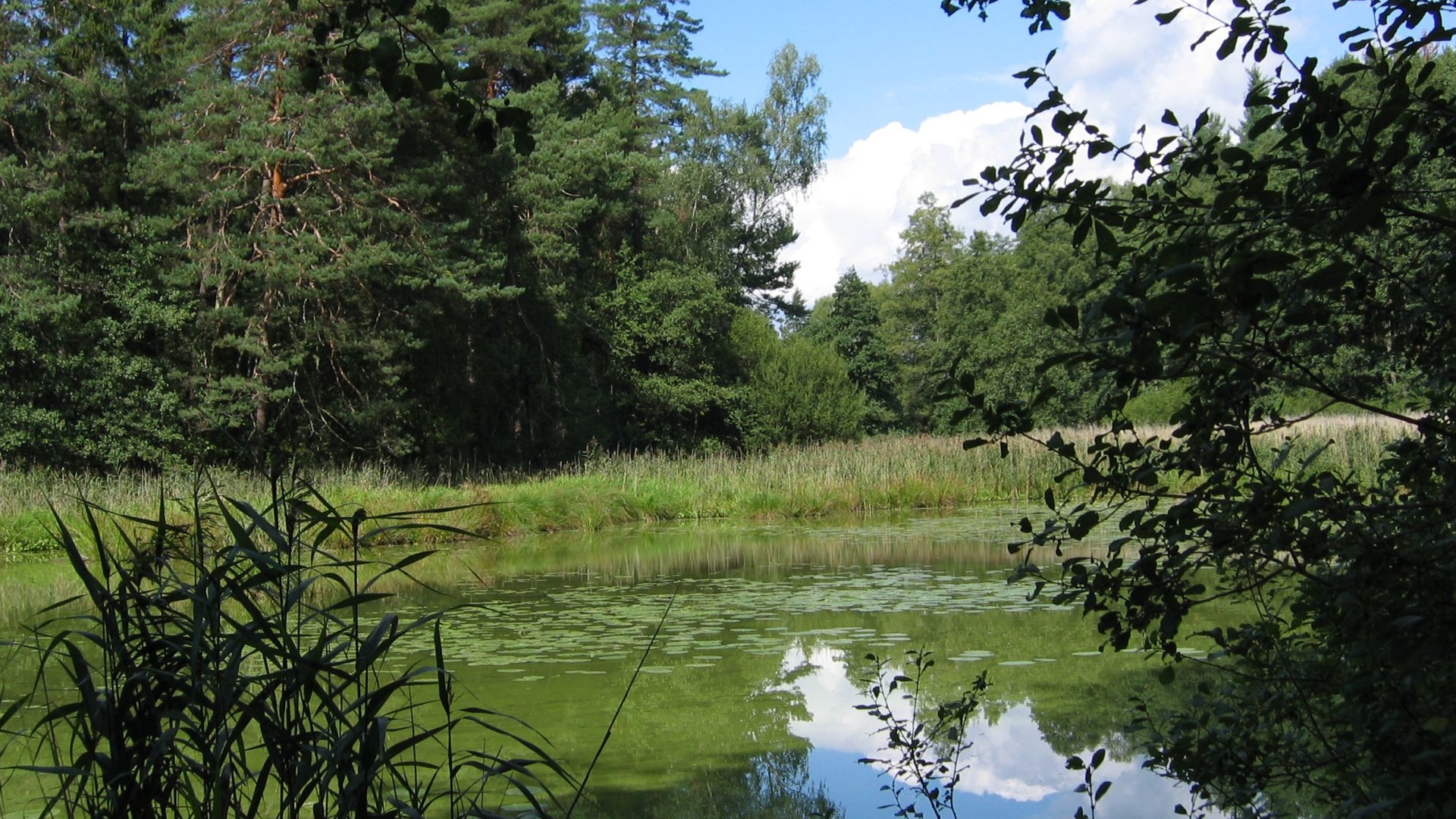 Weichselbrunner Weihergebiet | © Zweckverband Oberpfälzer Seenland