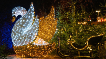 Weihnachten im Oberpf&auml;lzer Seenland | &copy; Simon Bucher